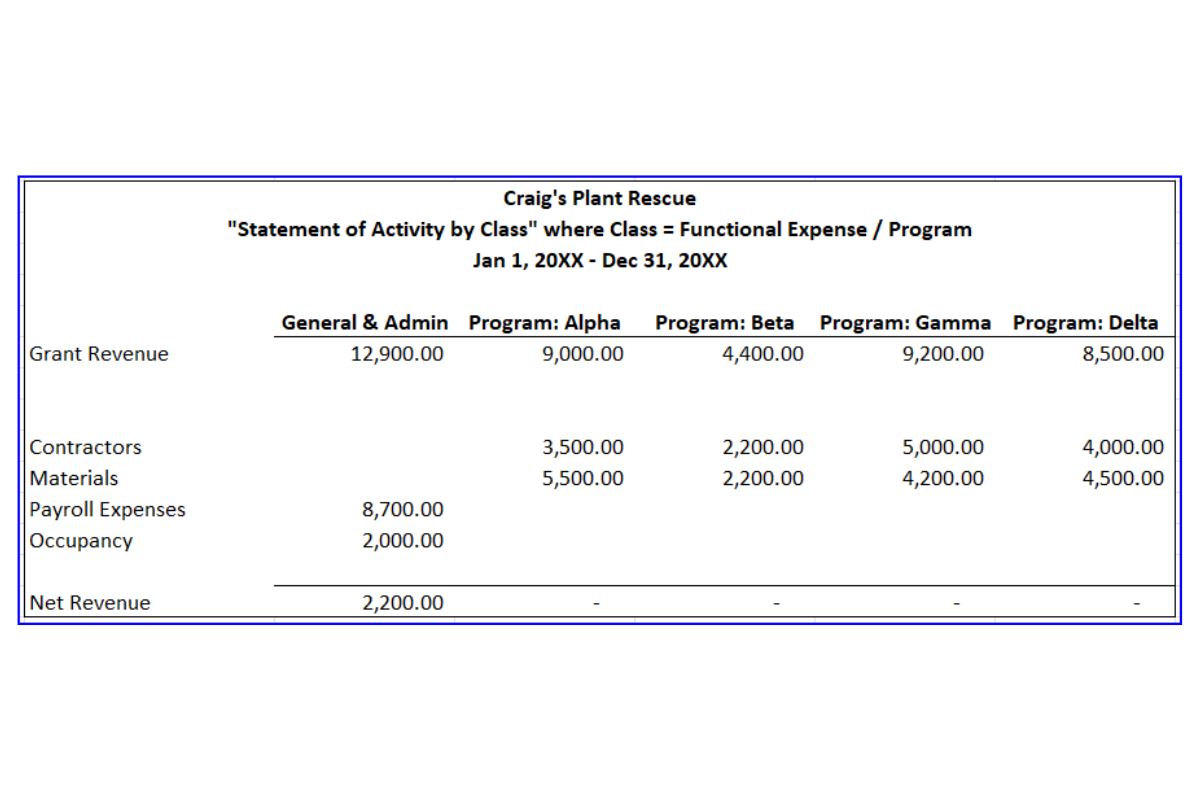 statement of activity by functional expense/program